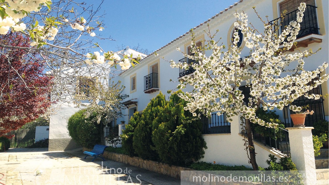 Photo of Outdoor in La Alqueria