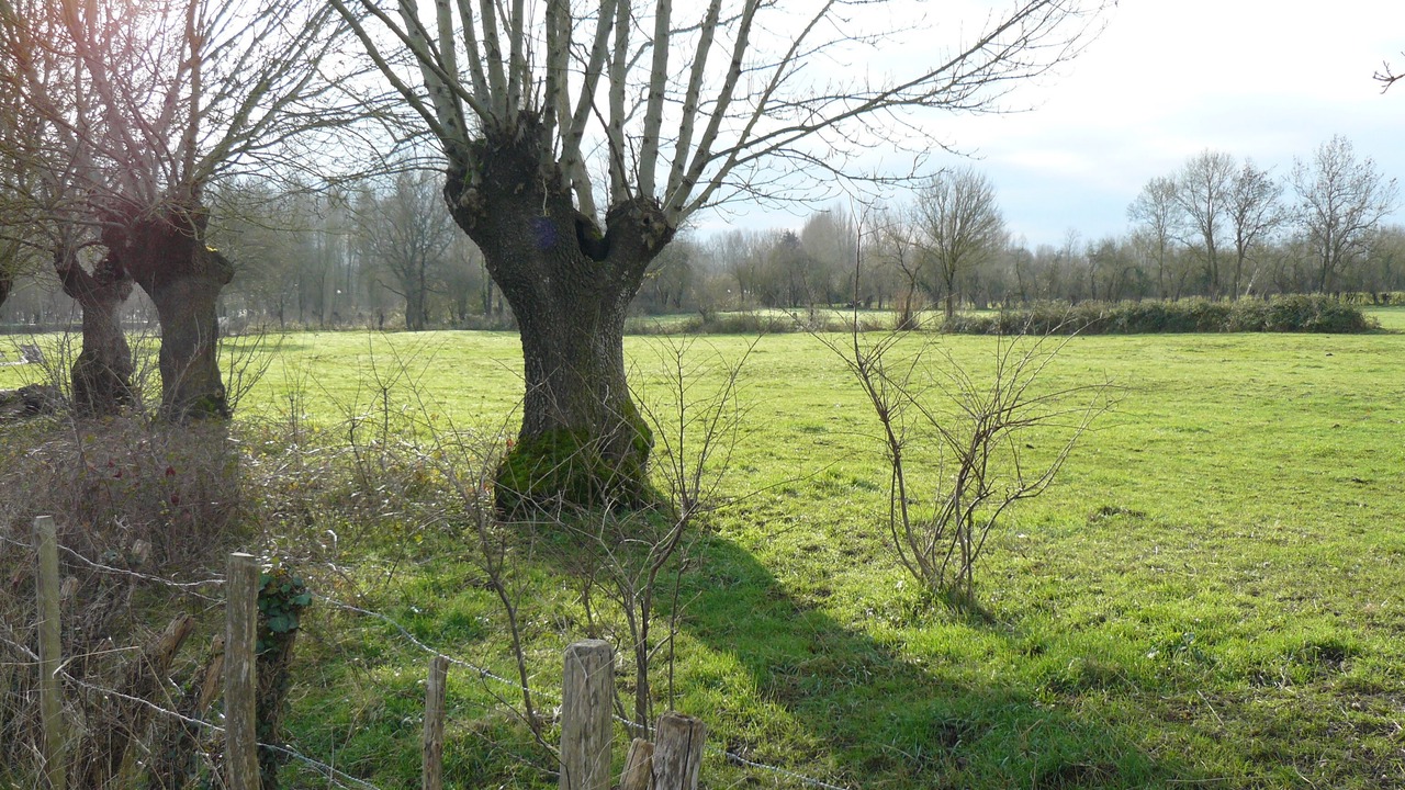 Photo of Outdoor in Le Mazeau