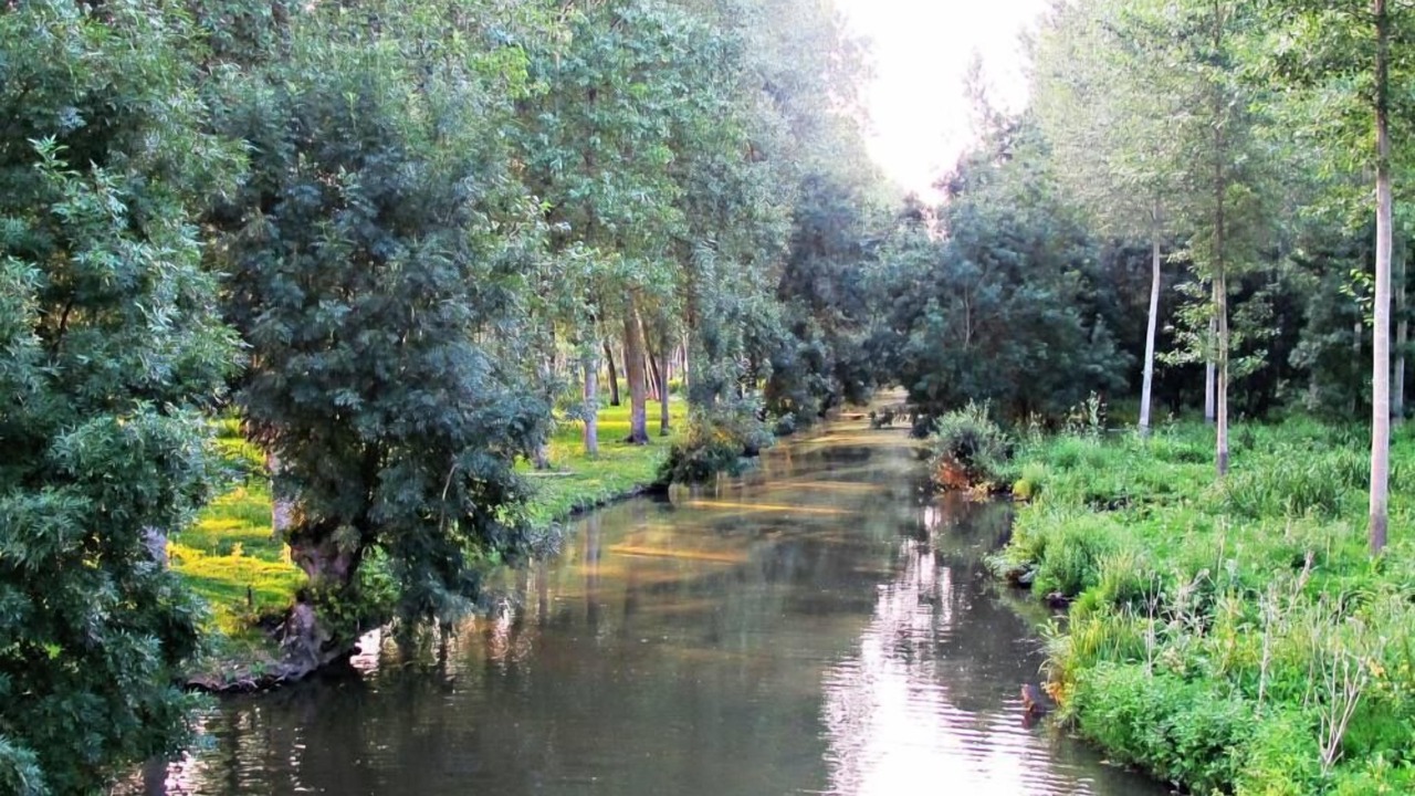 Photo of Outdoor in Le Mazeau