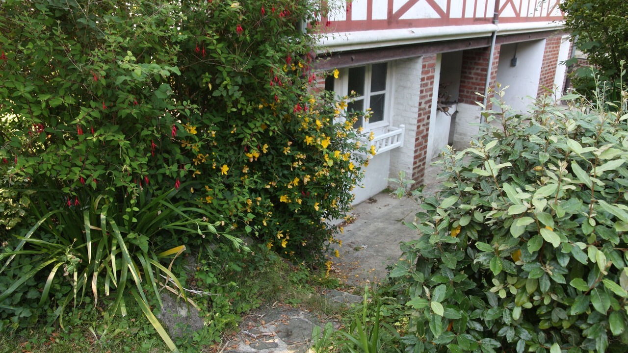 Photo of Outdoor in Houlgate