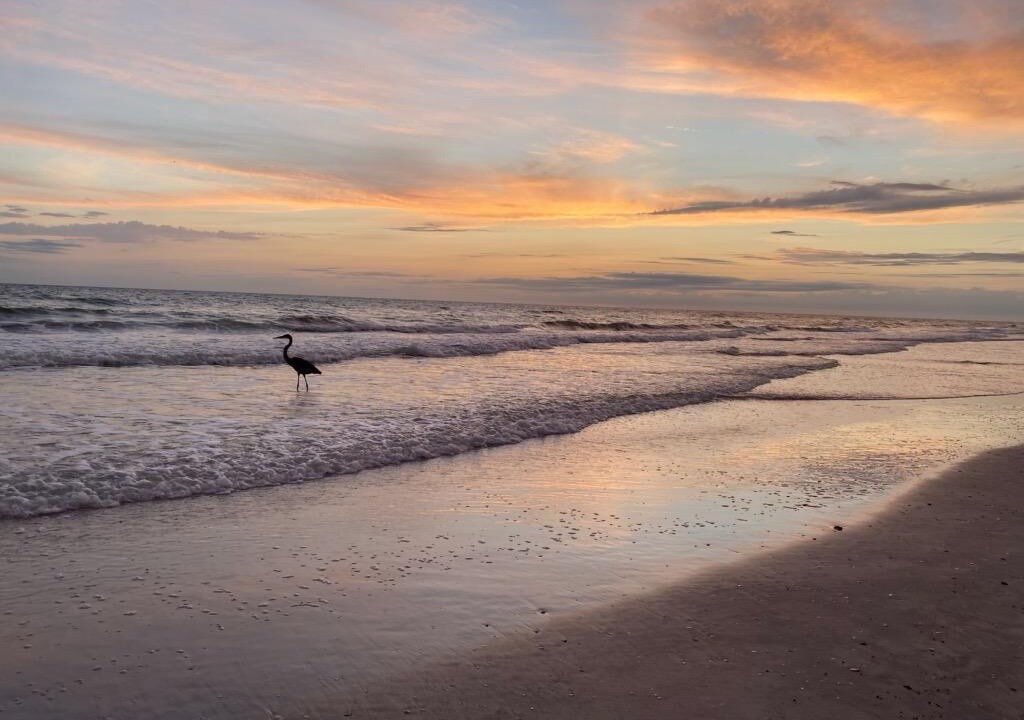 Photo of Others in Redington Shores