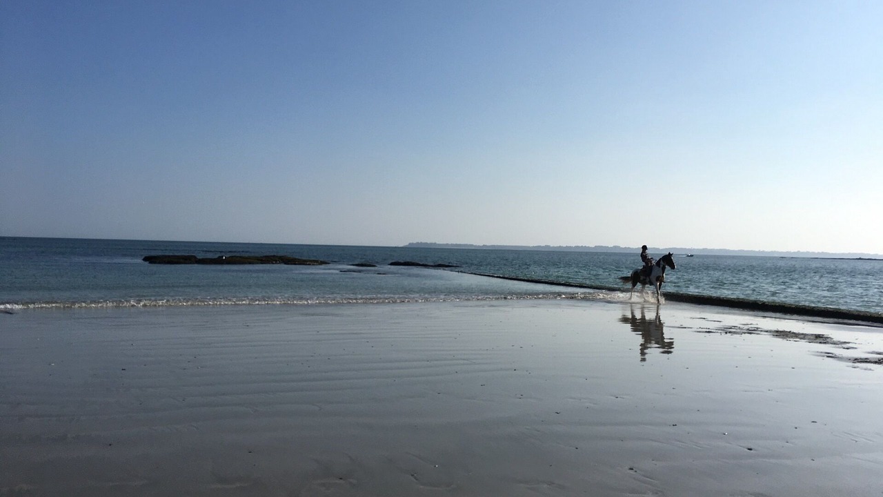 Photo of Others in Ploemeur