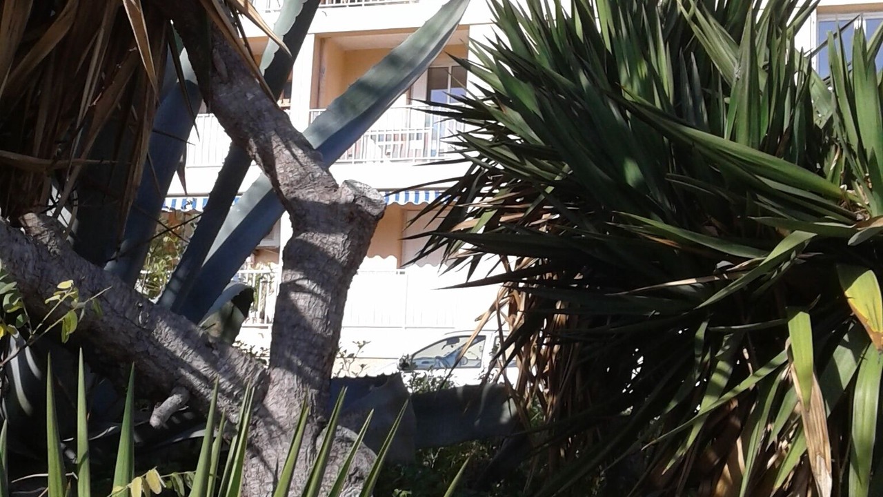 Photo of Outdoor in Cassis