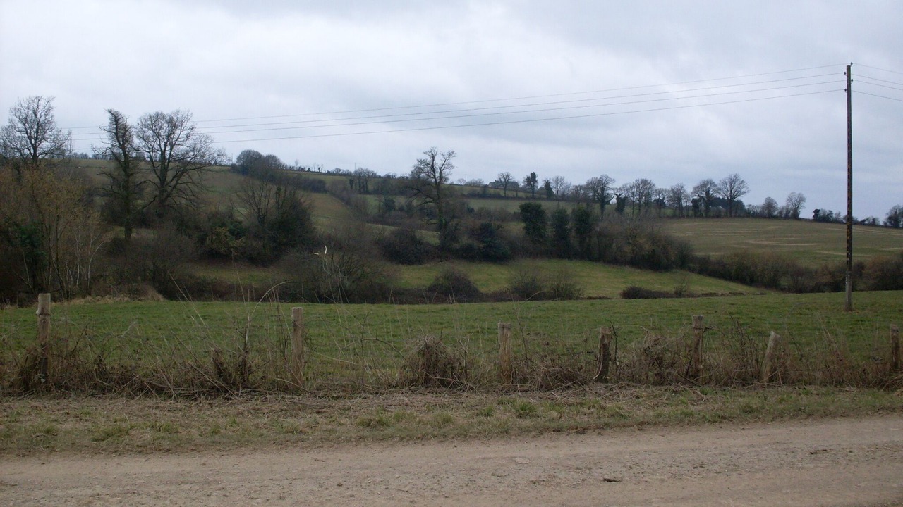 Photo of Others in Bais