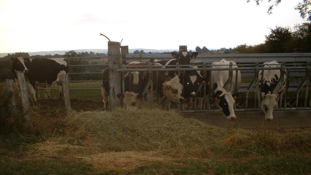 Photo of Outdoor in Bais