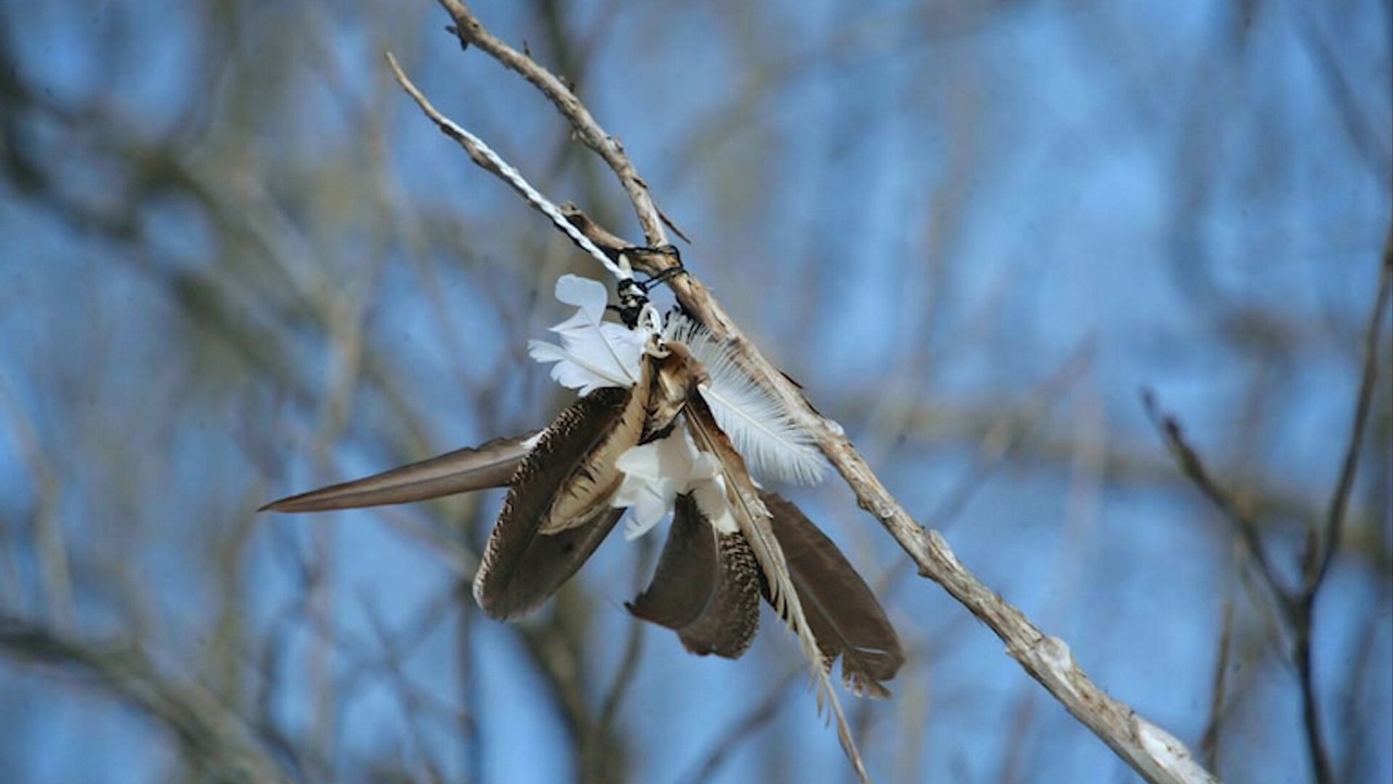 Photo of Others in Park Hills