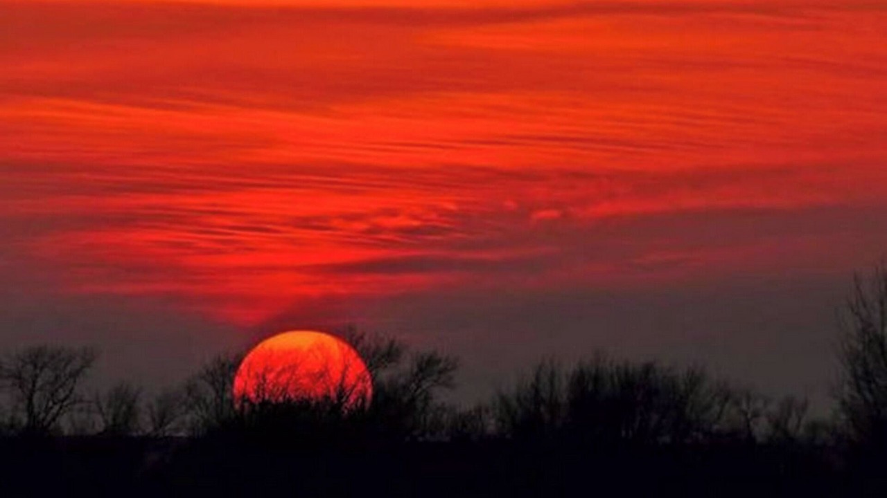 Photo of Others in Park Hills