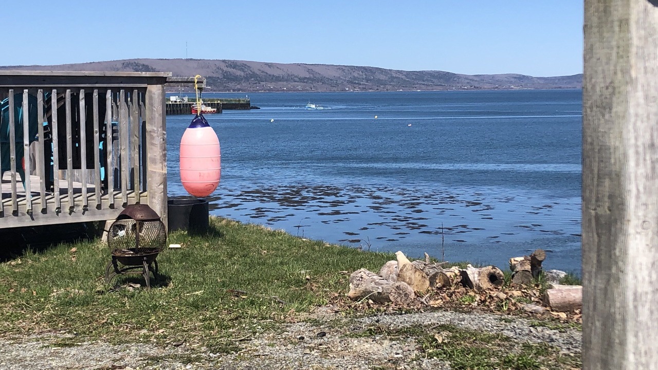 Photo of Others in Digby