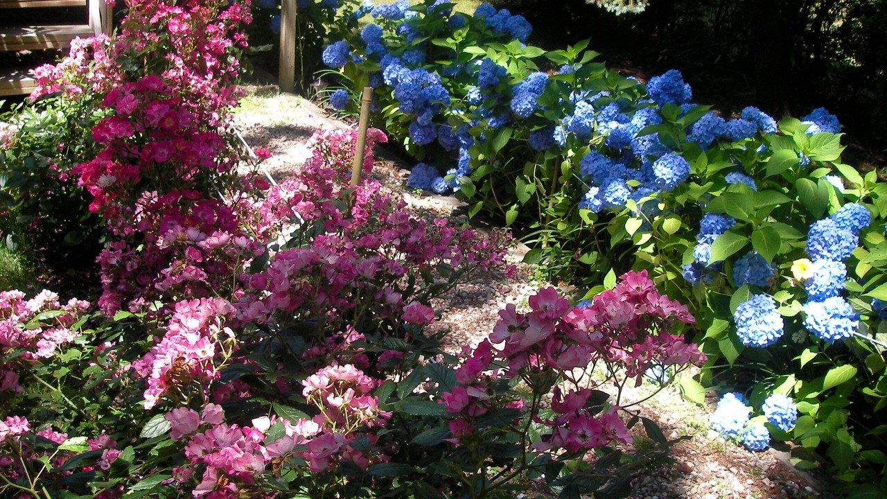 Photo of Others in East Falmouth