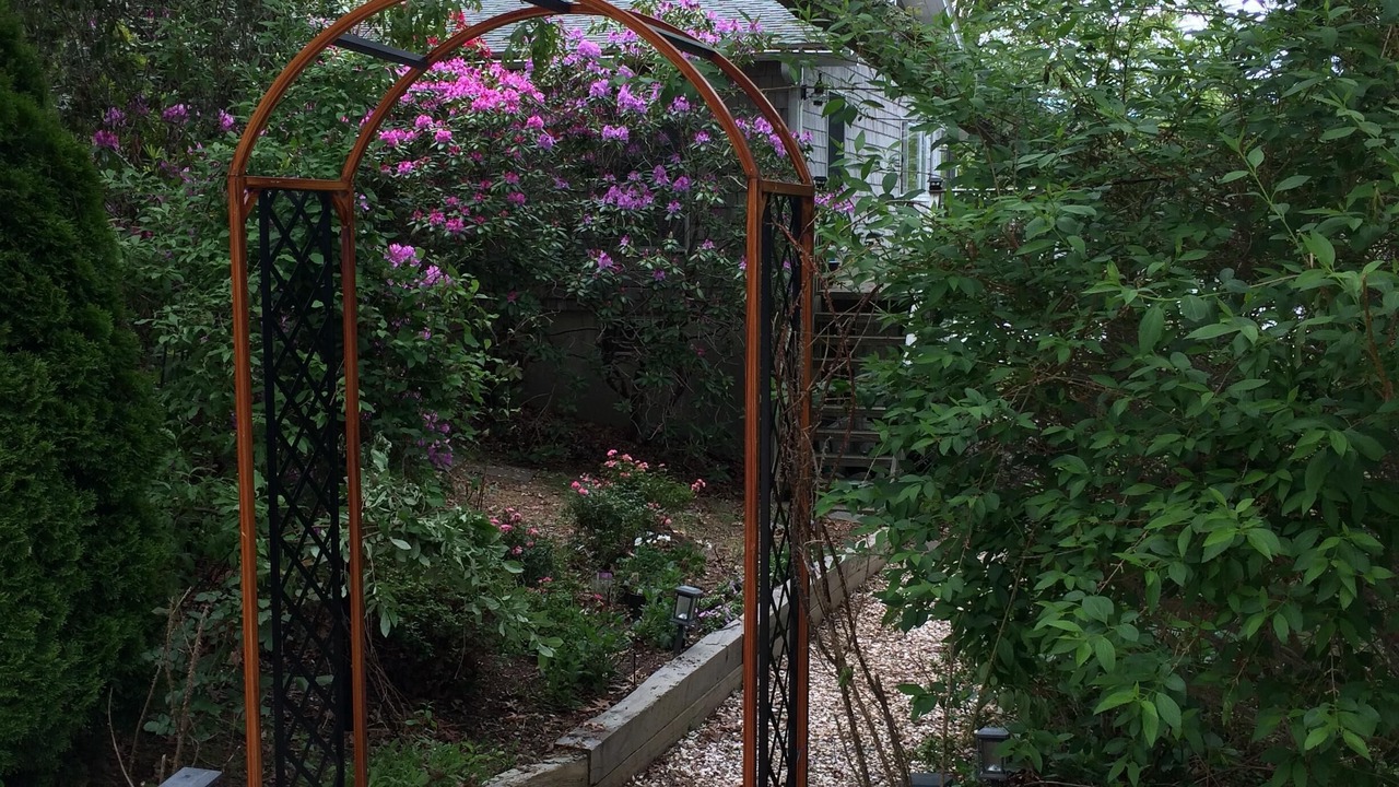 Photo of Others in East Falmouth