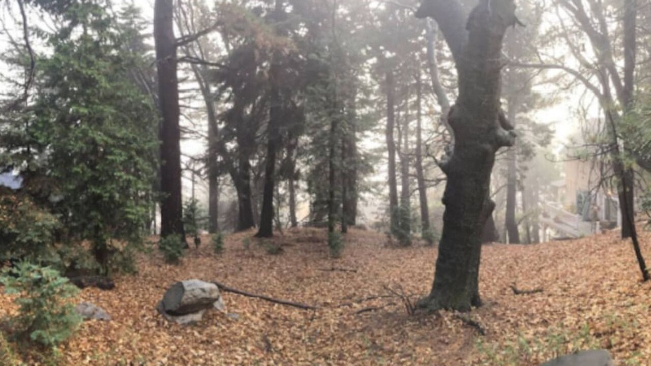 Photo of Others in Lake Arrowhead