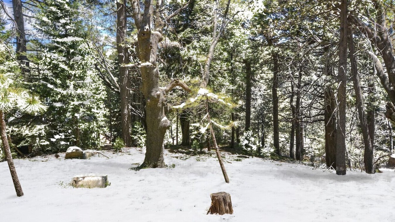 Photo of Others in Lake Arrowhead