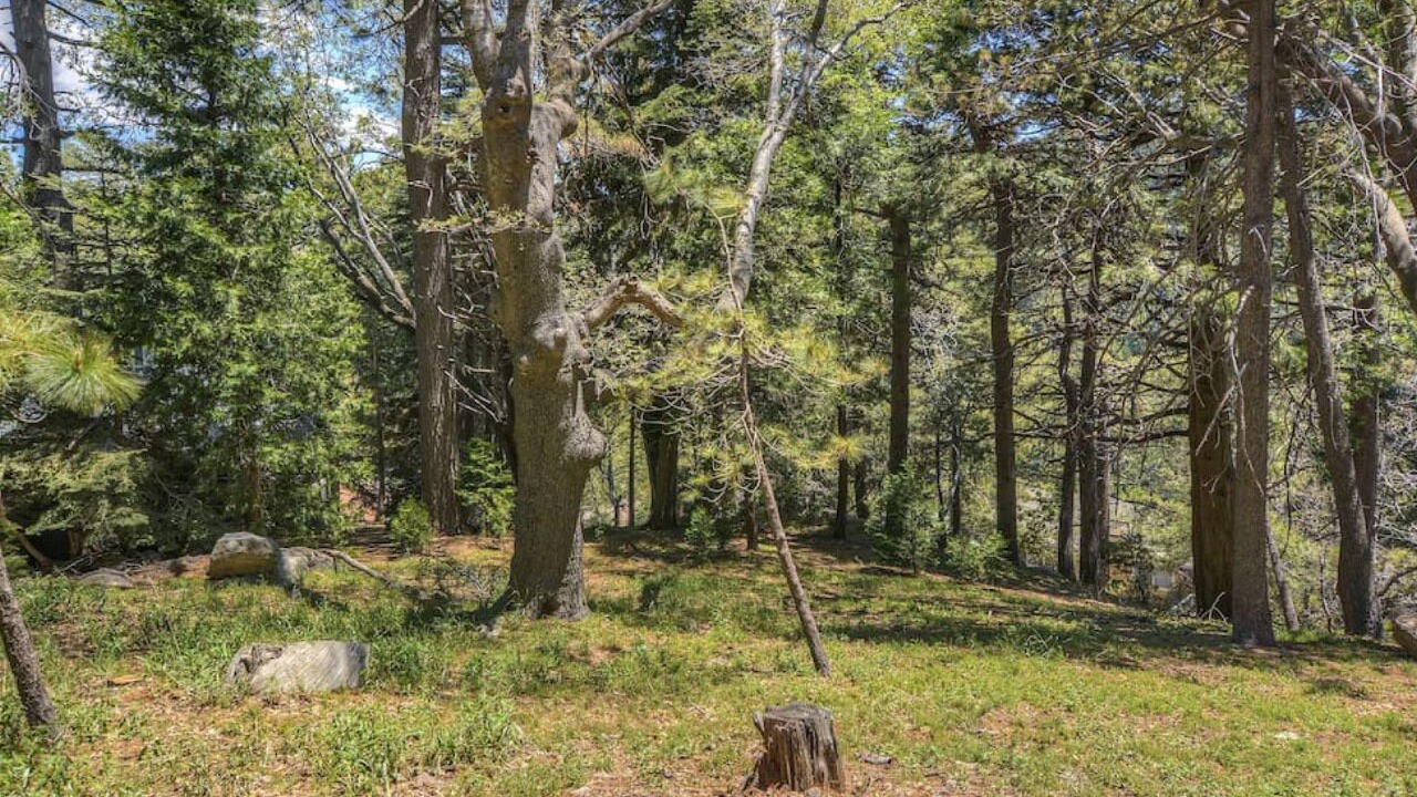 Photo of Others in Lake Arrowhead