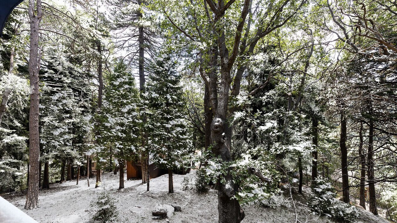 Photo of Others in Lake Arrowhead