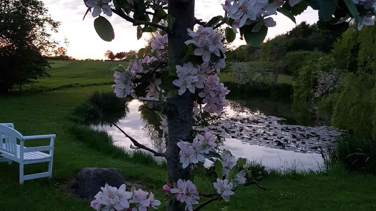 Photo of Outdoor in Assens