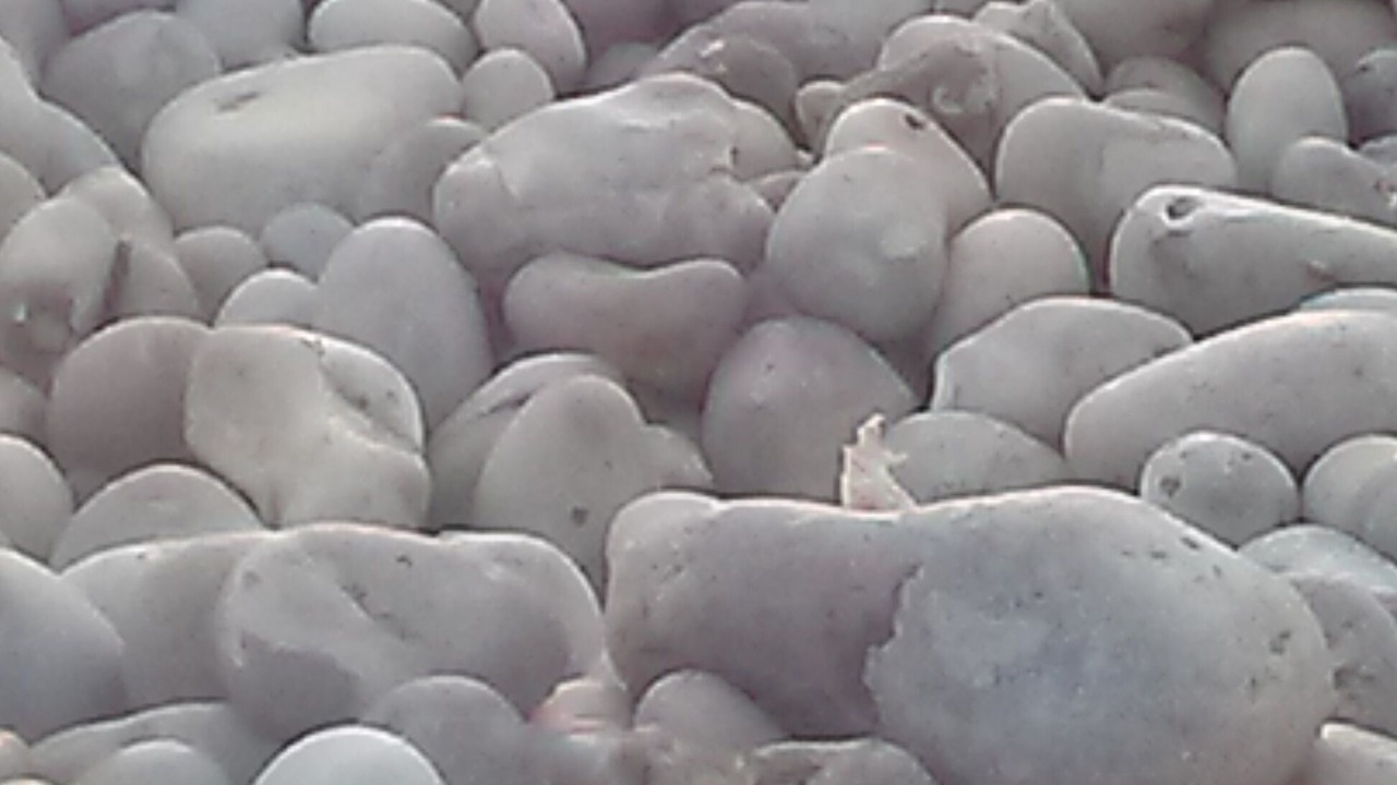 Photo of Others in Etretat