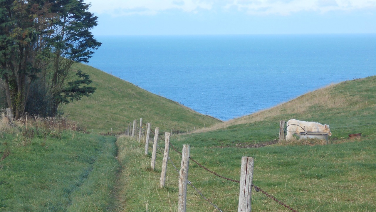 Photo of Others in Etretat