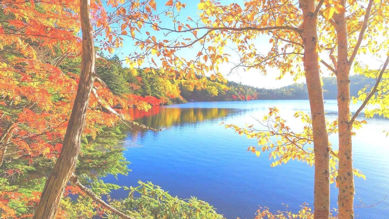 Photo of Outdoor in Doucier