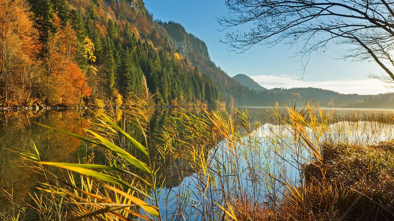 Photo of Others in Doucier