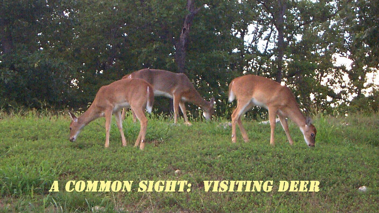 Photo of Outdoor in Osage Beach