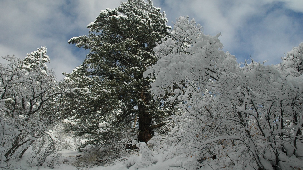 Photo of Others in Sundance