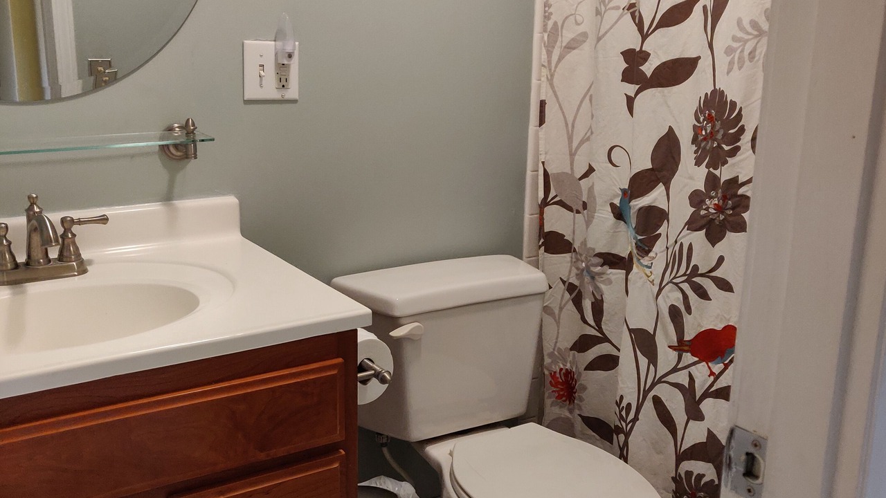 Photo of Bathroom in Copemish