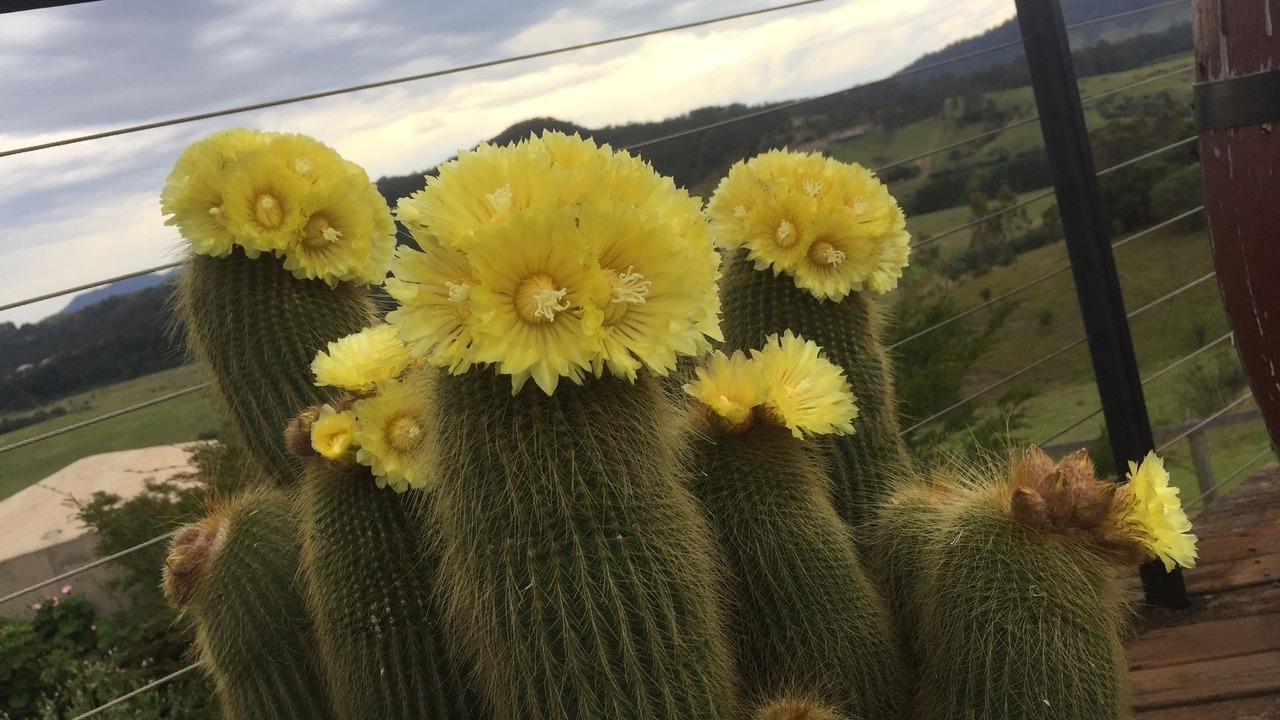 Photo of Outdoor in Windermere