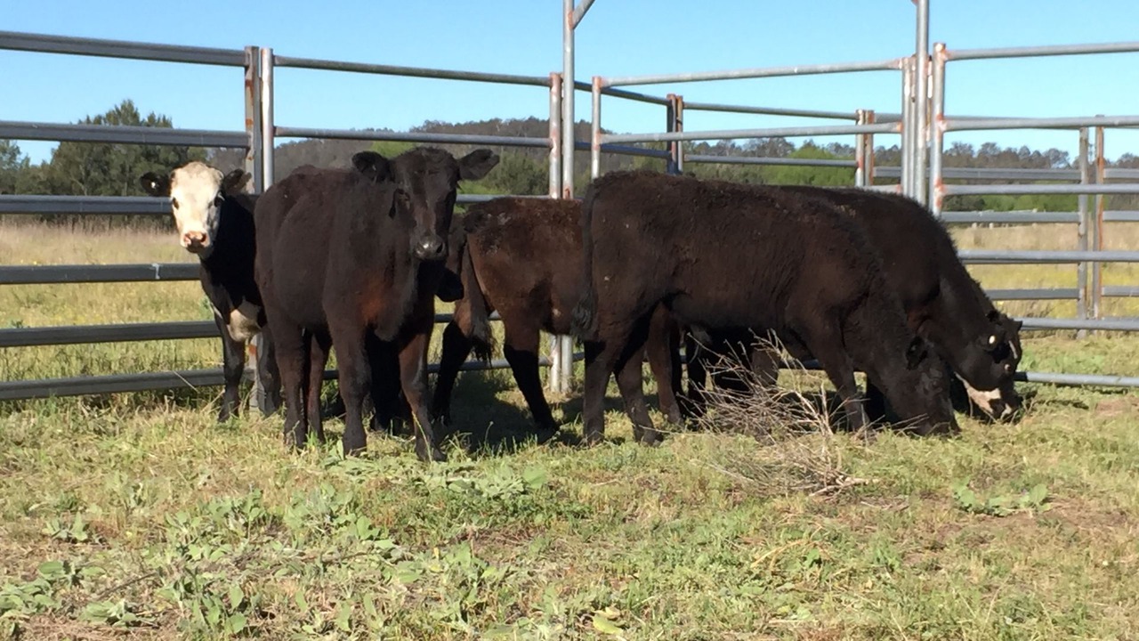 Photo of Others in Windermere