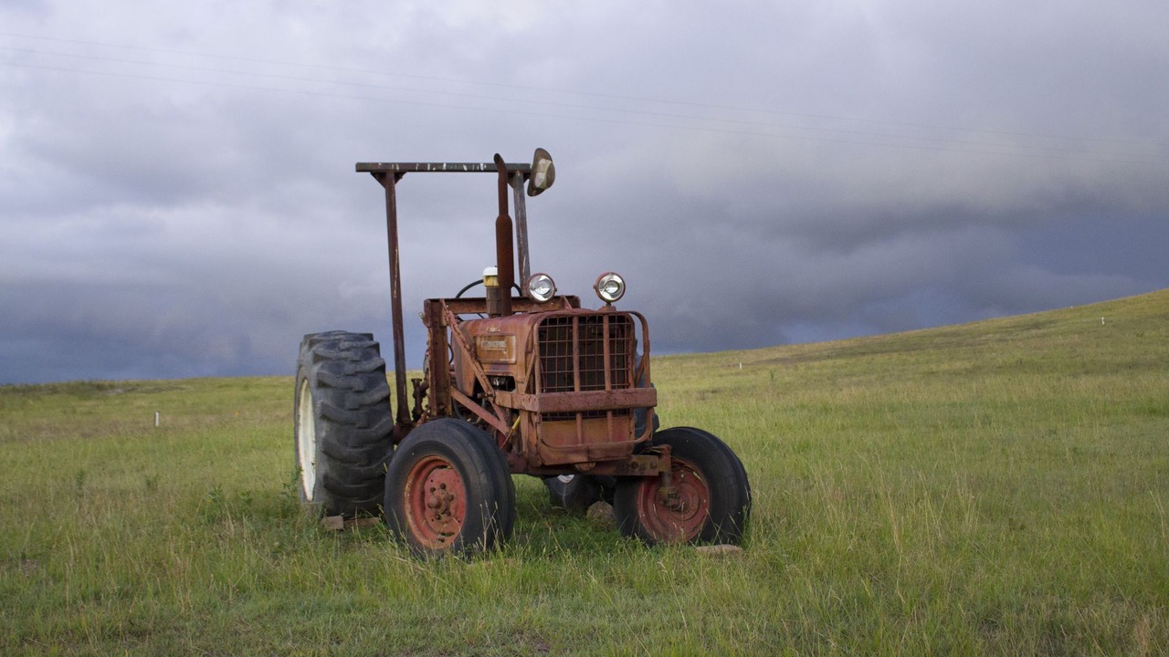 Photo of Others in Windermere