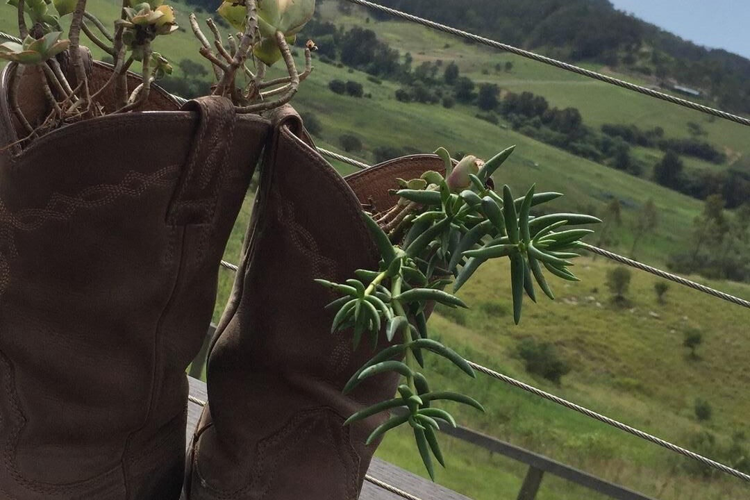 Photo of Others in Windermere