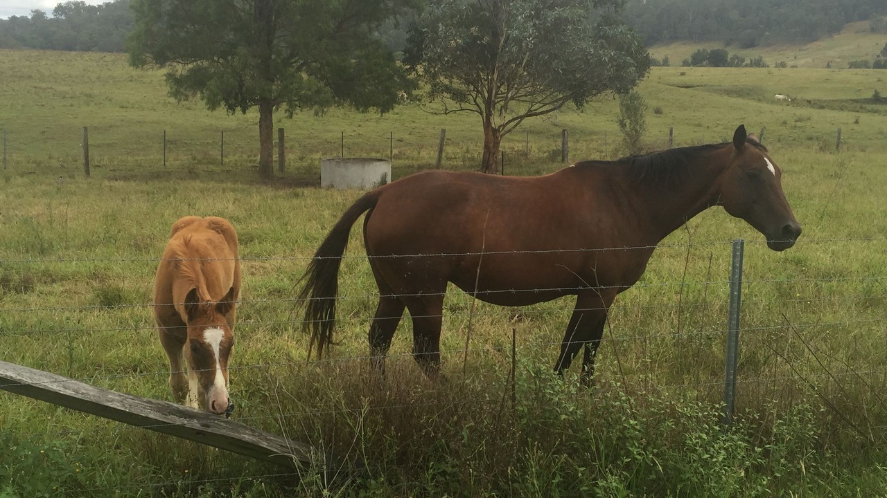 Photo of Outdoor in Windermere