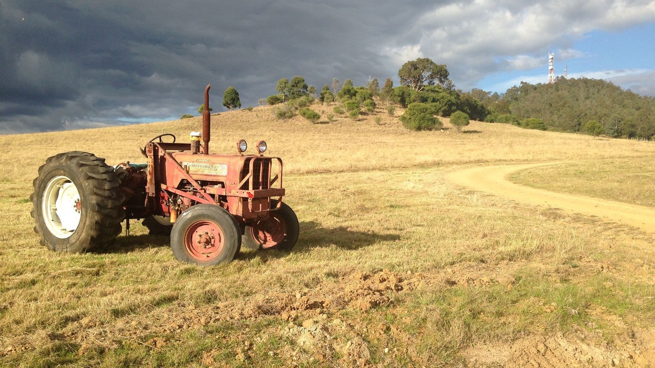 Photo of Others in Windermere