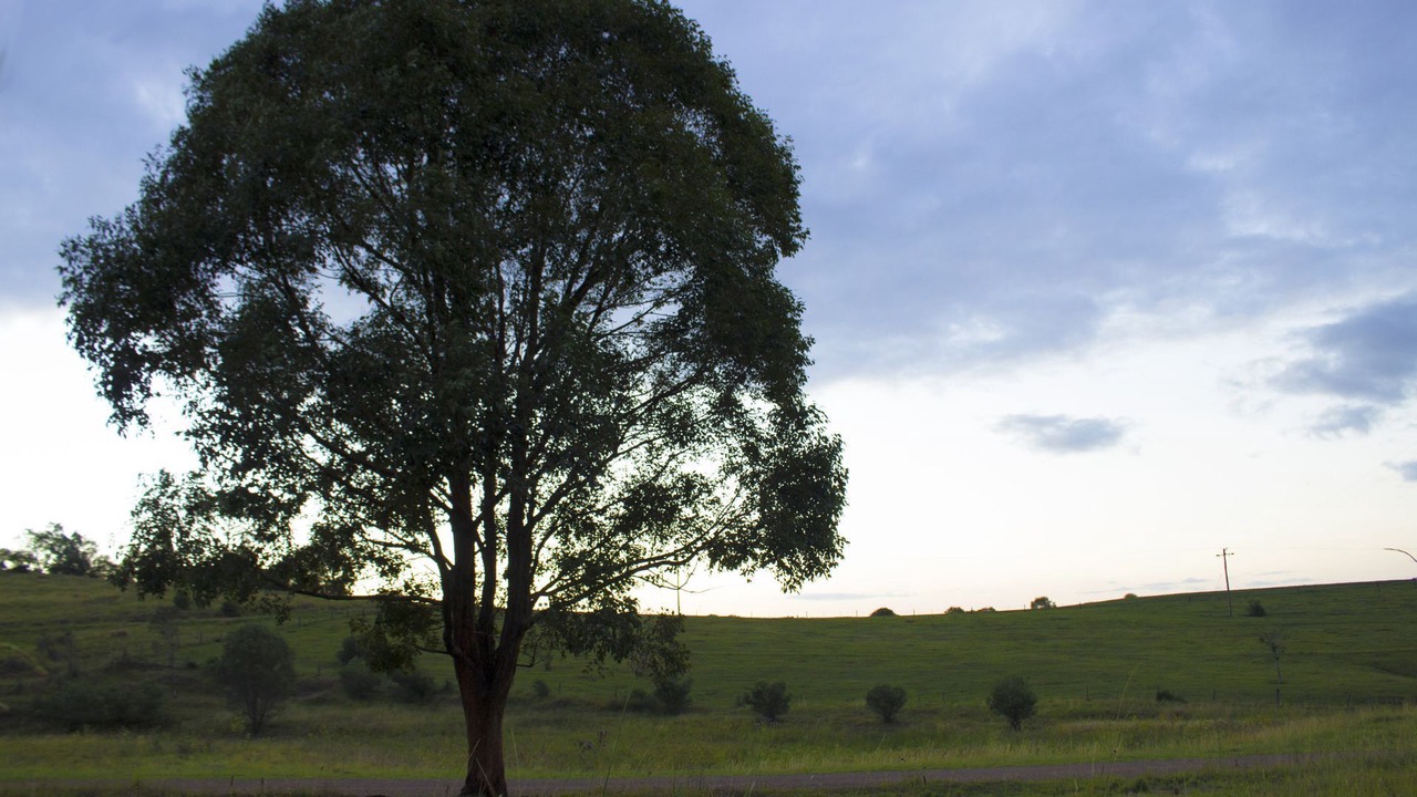 Photo of Others in Windermere