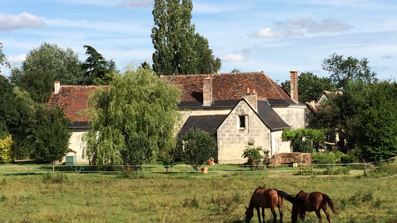 Photo of Outdoor in Berthenay