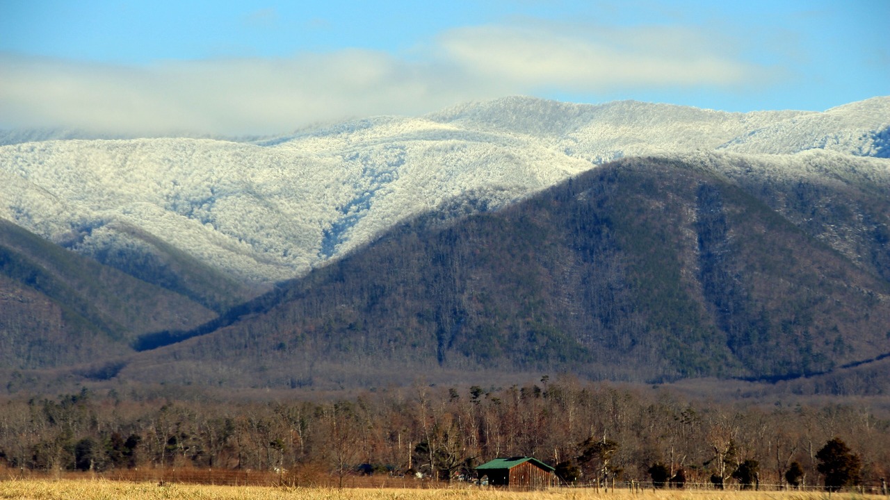 Photo of Others in Greeneville