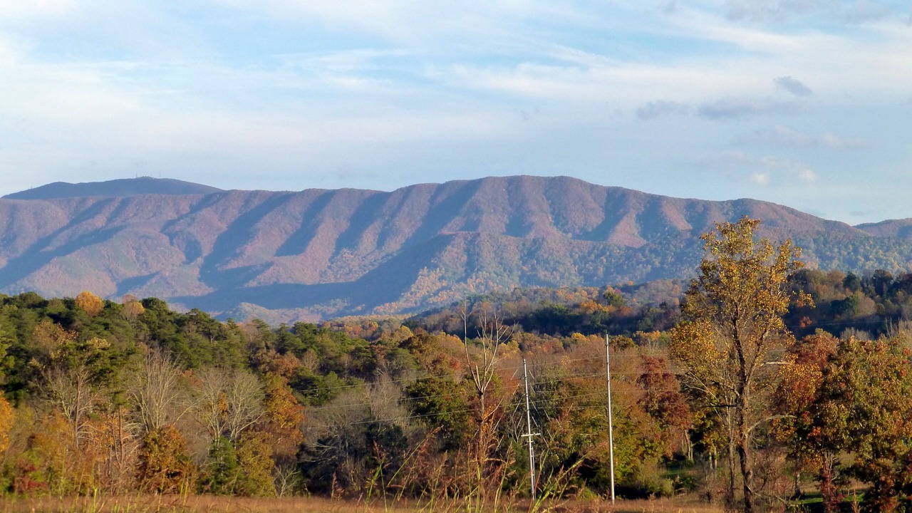 Photo of Others in Greeneville