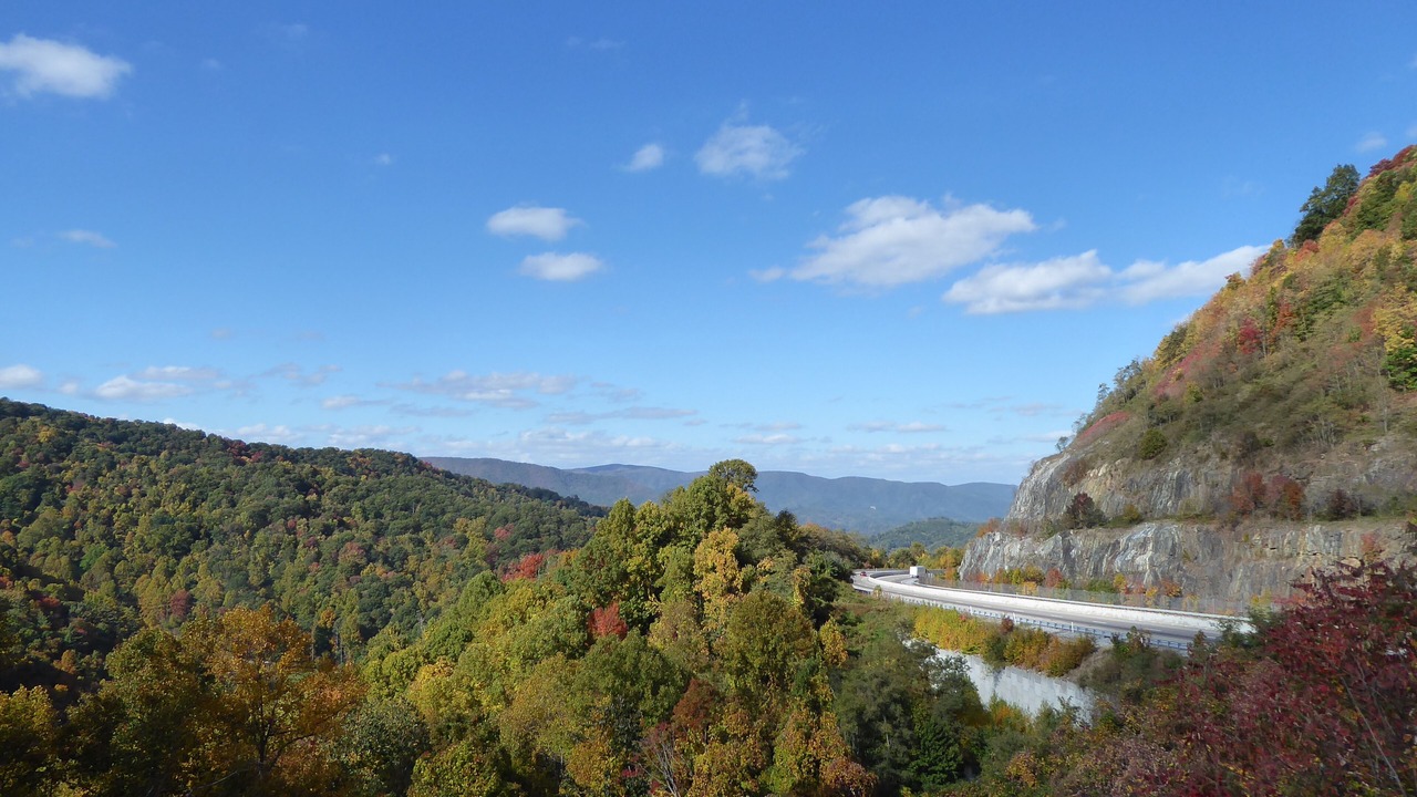 Photo of Others in Greeneville