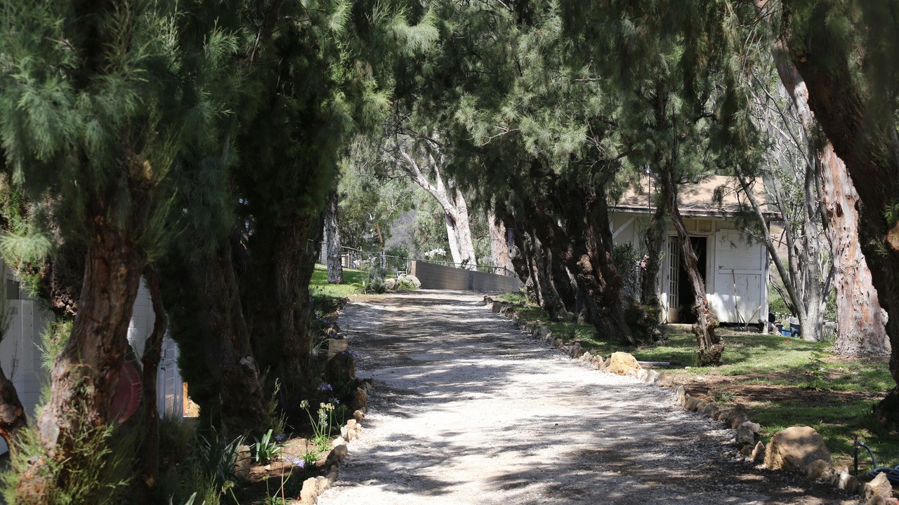 Photo of Outdoor in Malibu