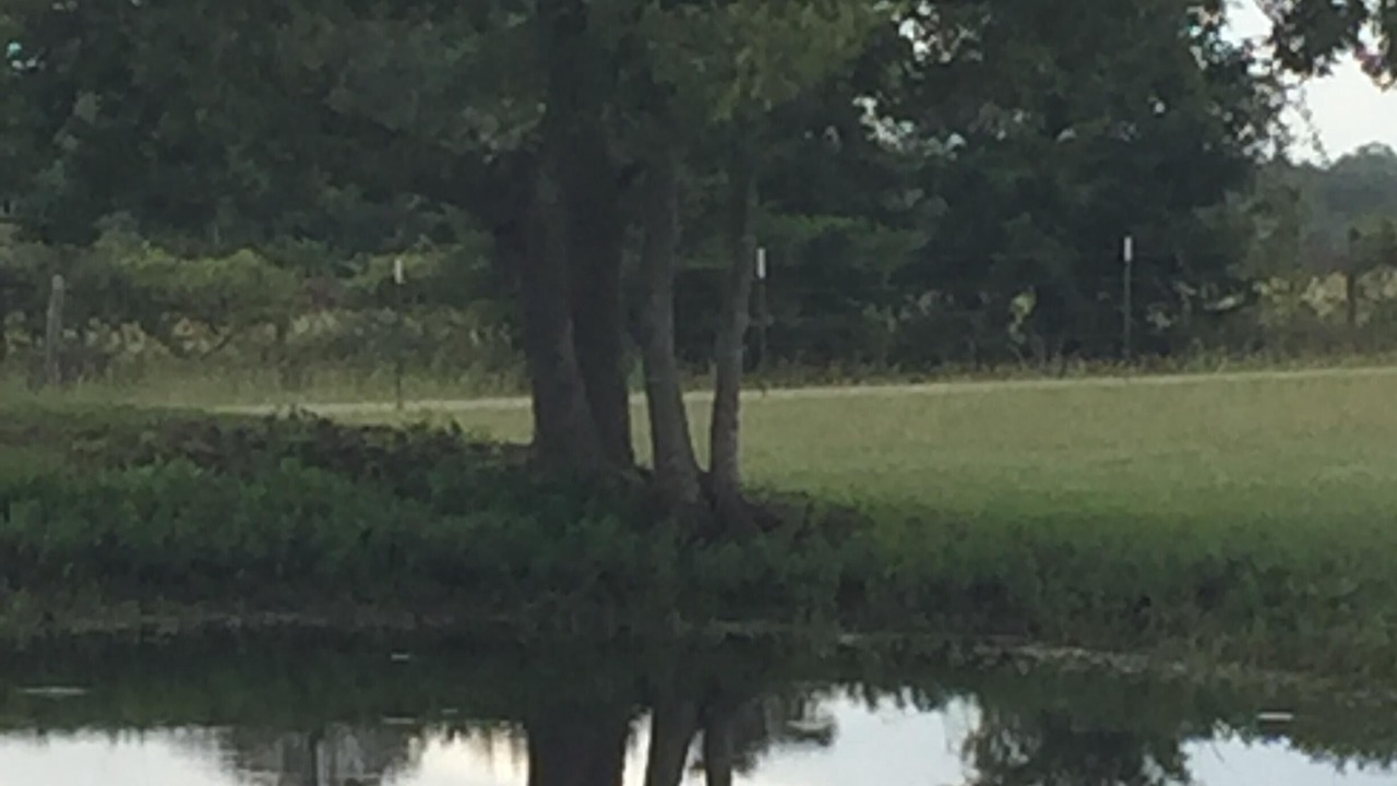 Photo of Outdoor in Burton