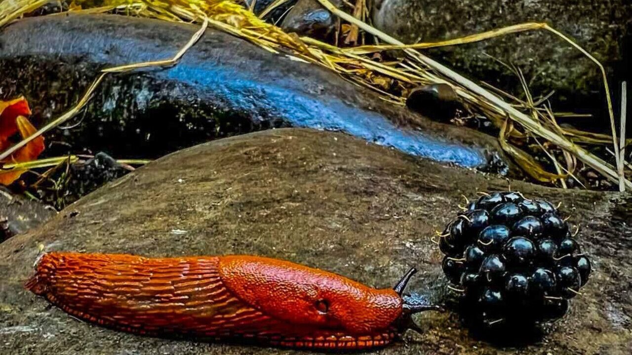 Photo of Others in Longview