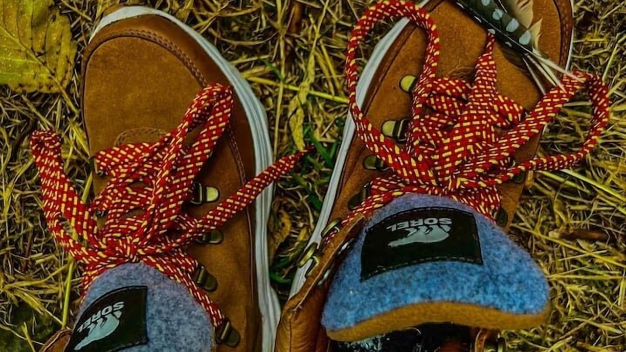 Photo of Others in Longview