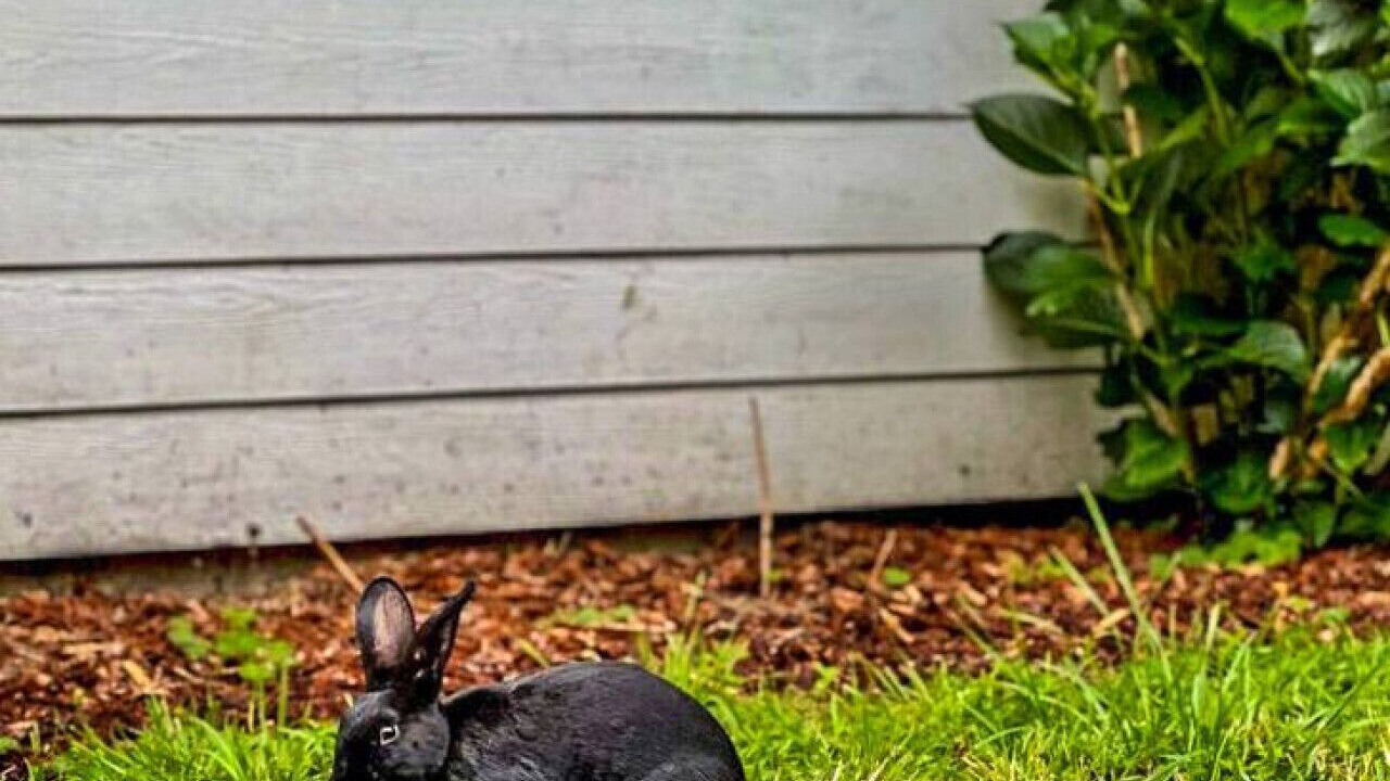 Photo of Outdoor in Longview