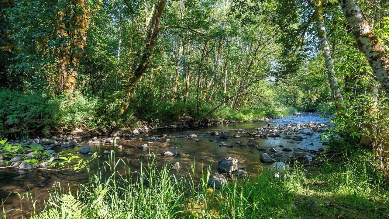 Photo of Others in Longview