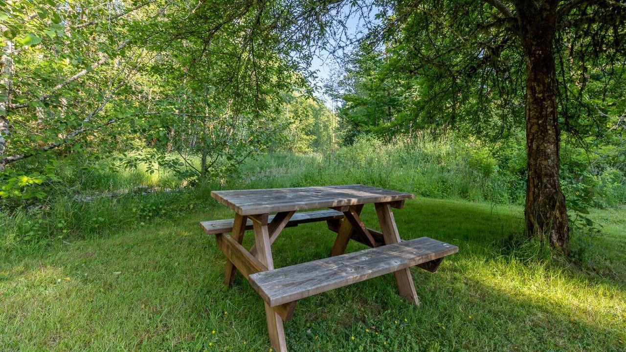 Photo of Outdoor in Longview