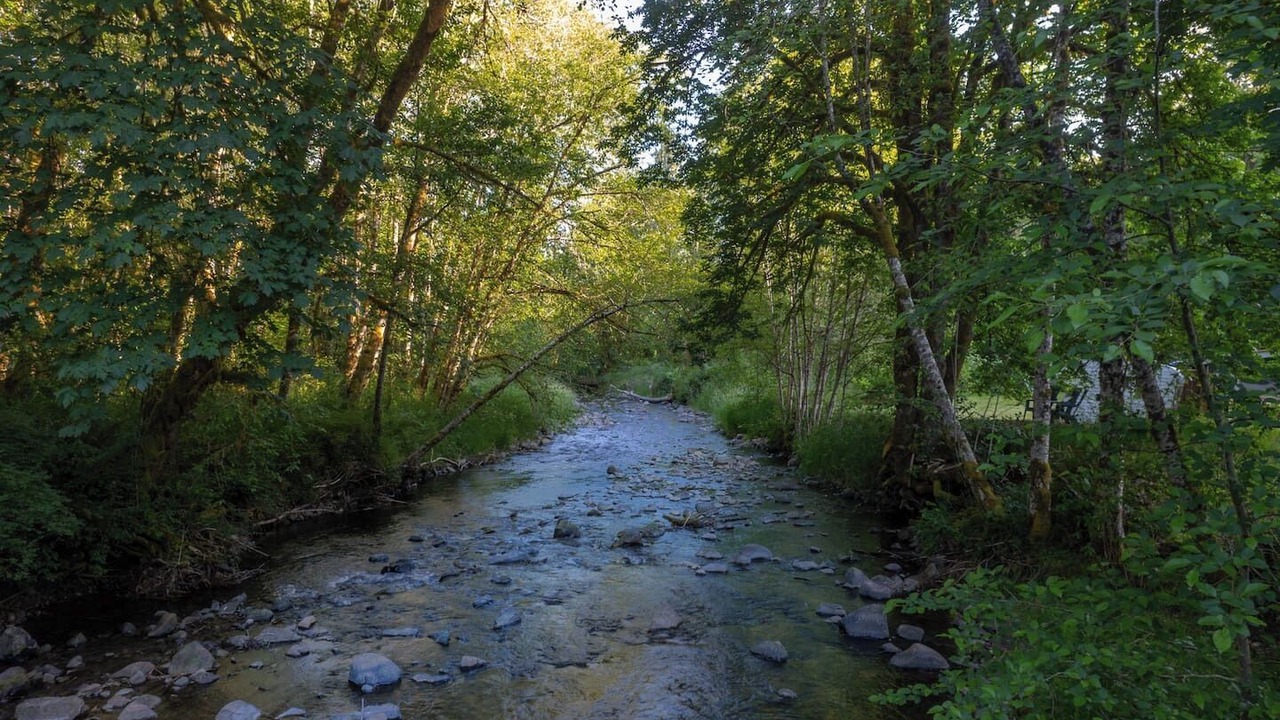 Photo of Others in Longview