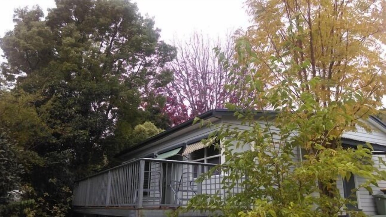 Photo of Outdoor in Mount Beauty