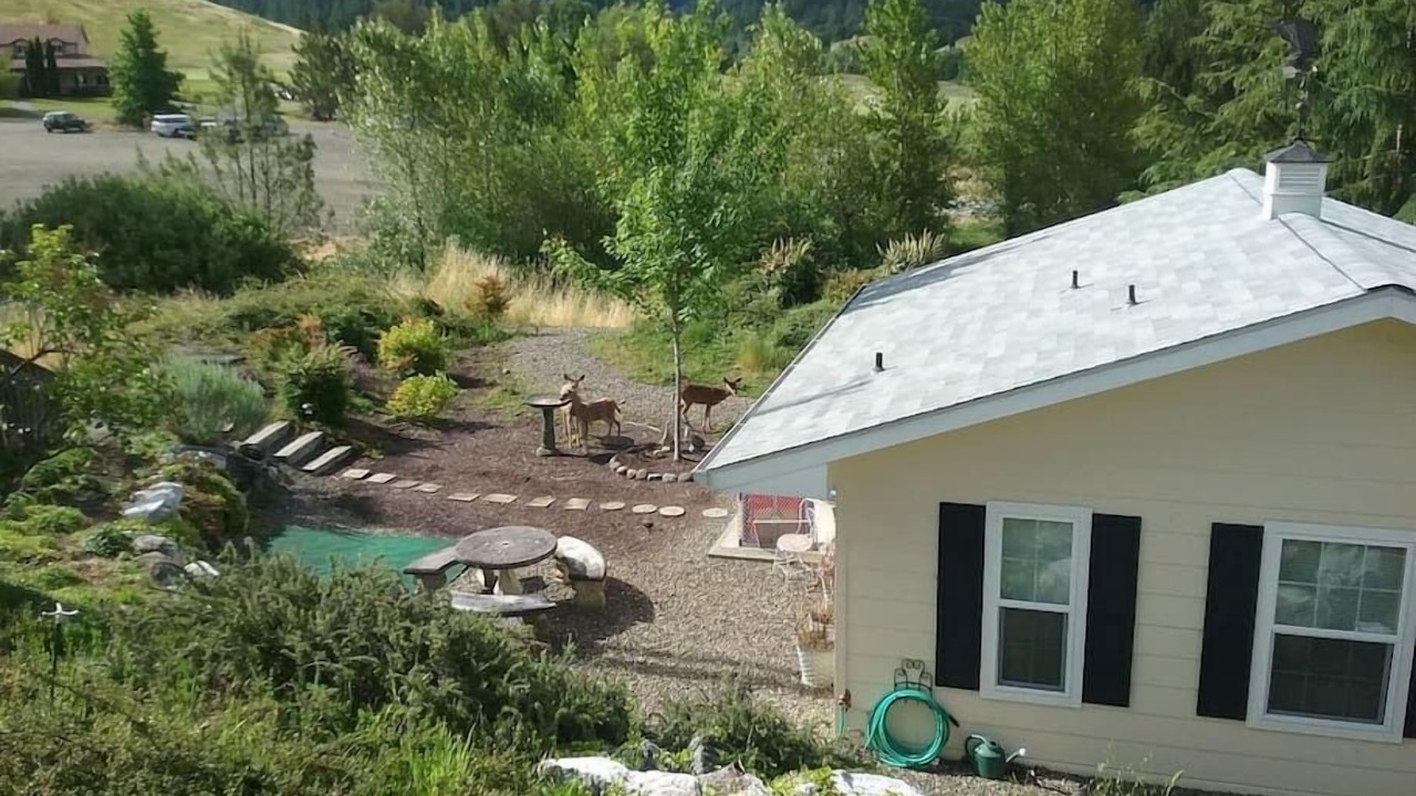 Photo of Outdoor in Myrtle Creek