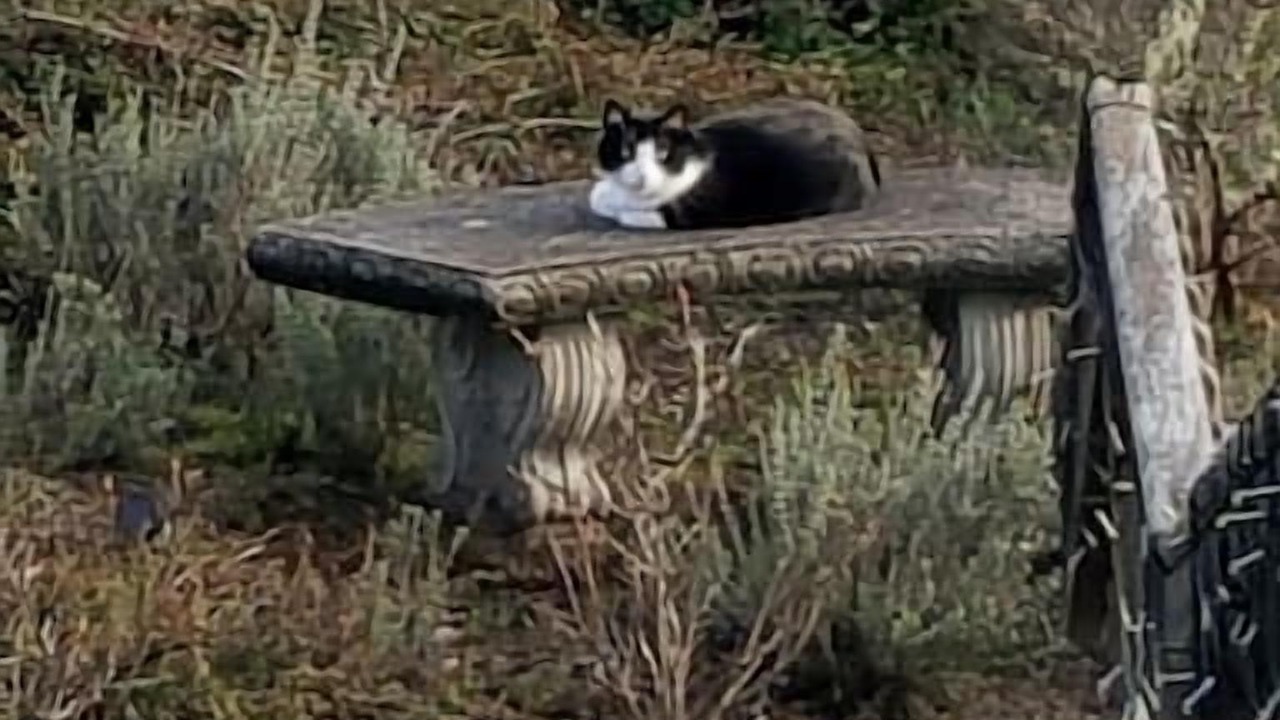 Photo of Others in Myrtle Creek