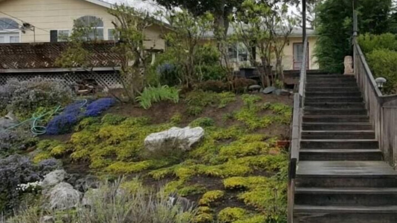 Photo of Outdoor in Myrtle Creek