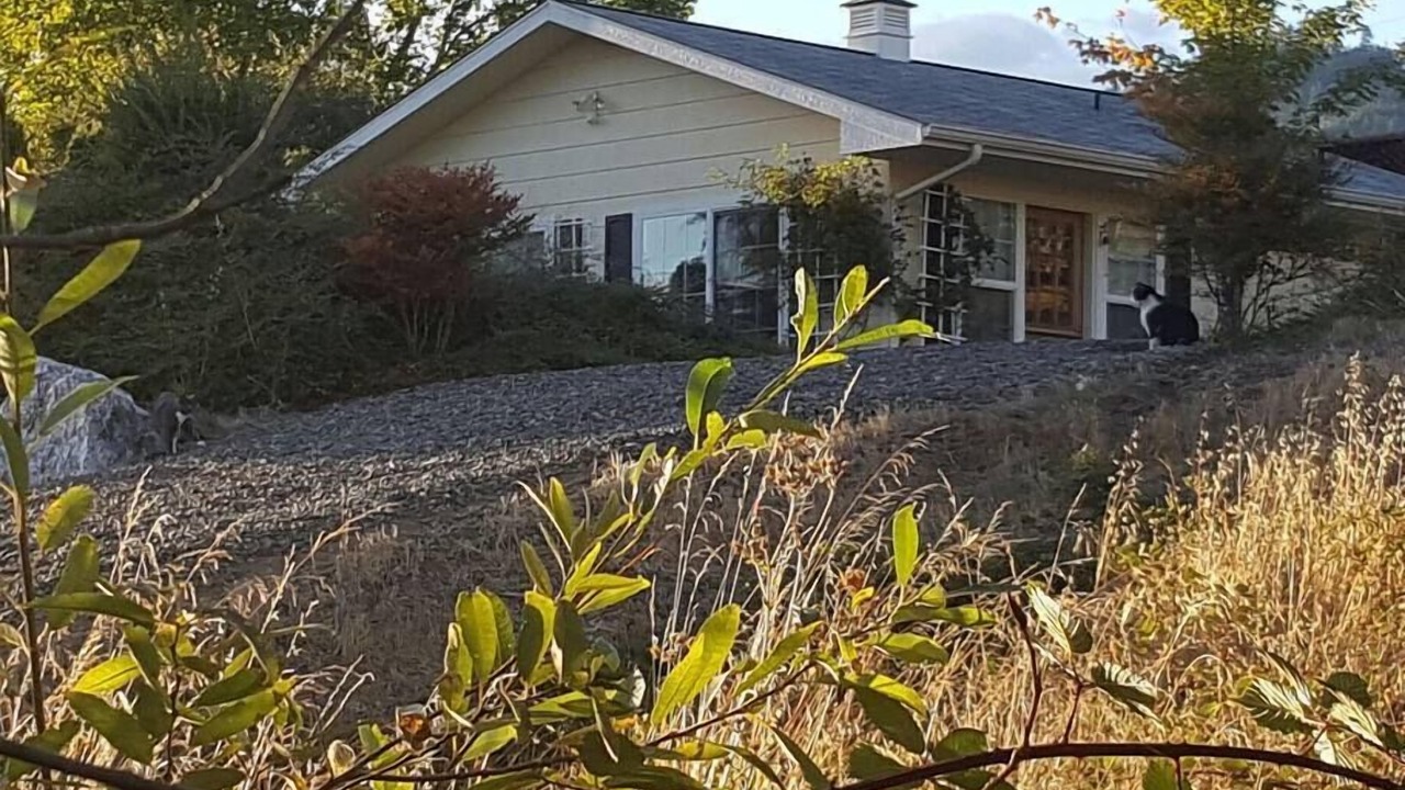 Photo of Outdoor in Myrtle Creek